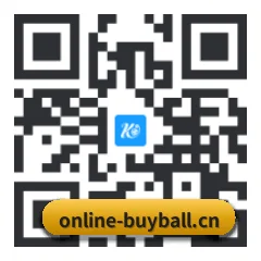 系统版 iOS 二维码